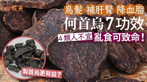 何首烏的功效|何首烏功效｜黑髮補肝腎7好處製首烏更有益？4類人不 